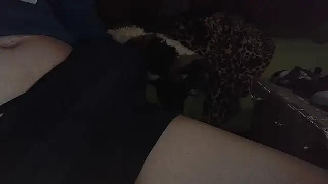 dimipetagr online show from February 22, 11:13 pm