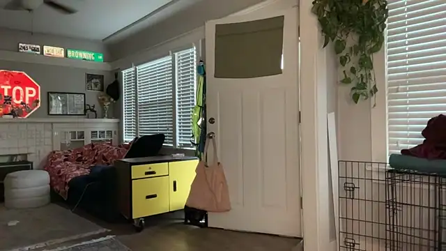 dreamyriri online show from March 1, 2:30 pm