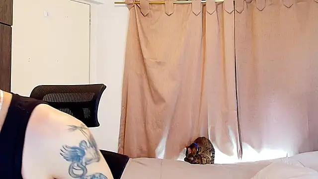 jimmy class online show from November 28, 3:58 pm