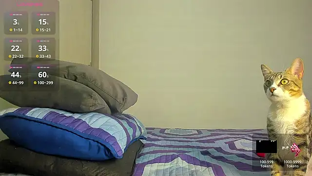 caroline tovar online show from November 29, 1:30 am