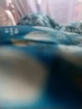 Rajxxxdx4u online show from January 13, 9:42 pm