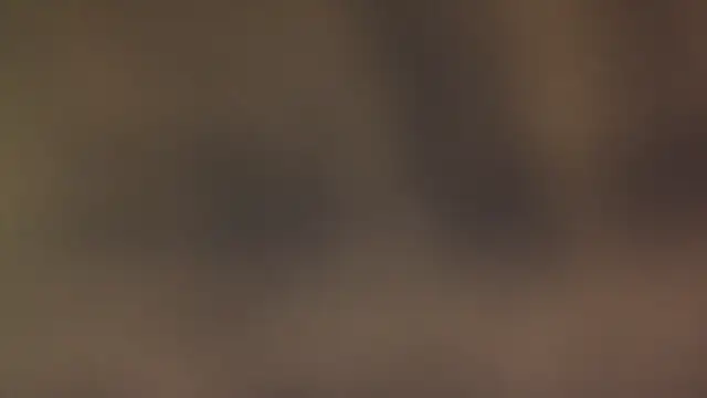 leccaleccafiga online show from March 12, 6:47 pm