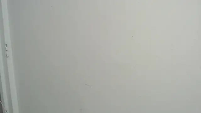 Snapshot of amy_le01 chatting on February 18, 4:37 pm amy le01 online show from February 18, 4:37 pm