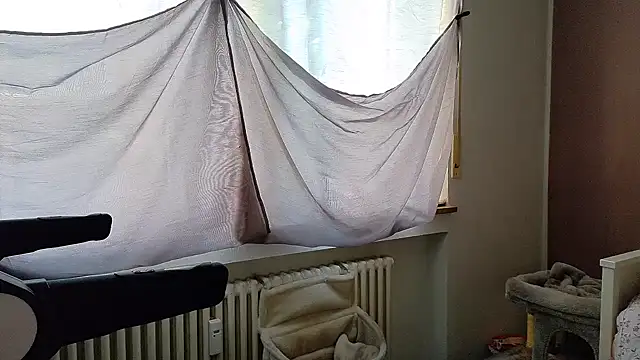 wetgerman 2 online show from September 28, 2:33 pm