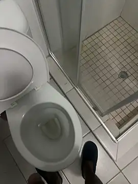 Snapshot of ROBOSTALLION chatting on April 2, 7:11 pm ROBOSTALLION online show from April 2, 7:11 pm