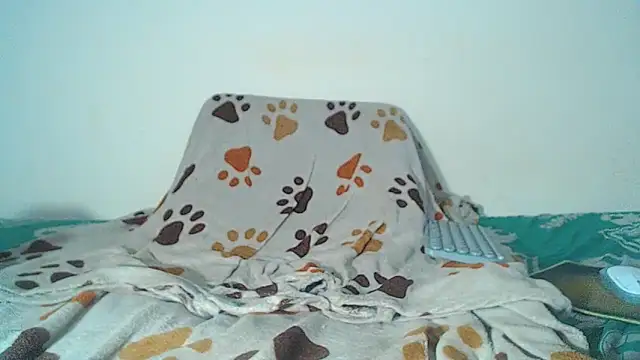 maihton xx online show from February 3, 6:40 am