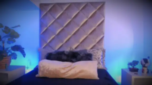 malaia hills online show from November 10, 6:40 pm