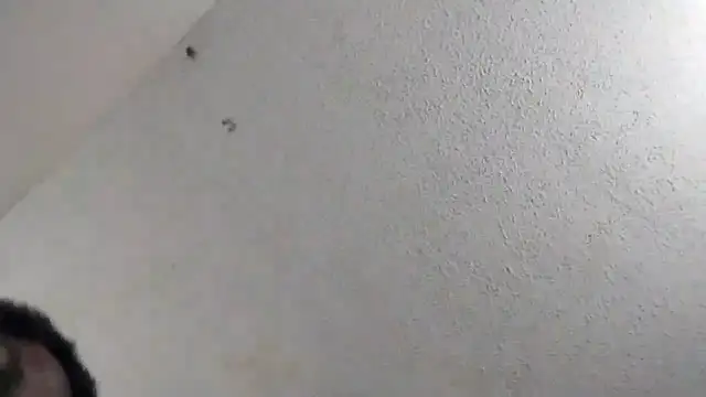 Snapshot of 247Srokin chatting on March 6, 11:01 pm 247Srokin online show from March 6, 11:01 pm