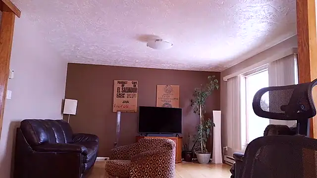 Snapshot of BasicAnt chatting on March 17, 1:47 pm BasicAnt online show from March 17, 1:47 pm