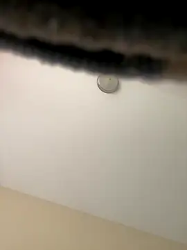 Iced cloudz online show from December 14, 3:17 pm