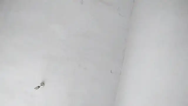 Jigolo mustafa online show from September 29, 11:37 am