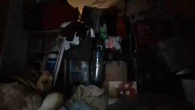 brandonontop online show from February 11, 3:00 am