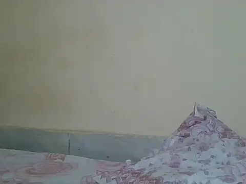 Snapshot of sexyjanett chatting on April 21, 5:50 pm sexyjanett online show from April 21, 5:50 pm