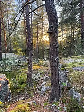 Andreashow online show from October 19, 2:29 pm