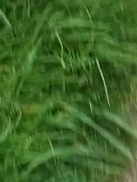 Mallu King of Penis online show from May 3, 4:35 pm
