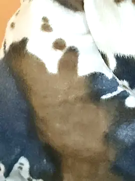 Diya 143 online show from January 7, 5:43 am