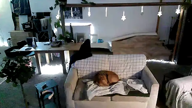 iamsex6969 online show from March 27, 6:19 am