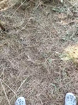 Gopal1243 online show from January 9, 7:55 am