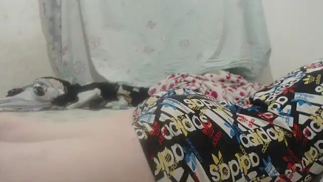 Kittywhiteass online show from March 16, 11:57 pm