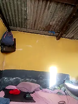 Snapshot of LULE37587001 chatting on November 26, 3:51 am LULE37587001 online show from November 26, 3:51 am