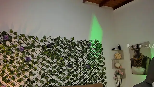 annie barozzi online show from January 13, 1:28 pm