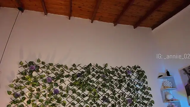 annie barozzi online show from January 13, 4:30 pm