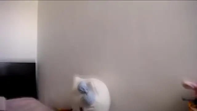 Snapshot of MARIANADIRTY chatting on November 11, 2:17 pm MARIANADIRTY online show from November 11, 2:17 pm