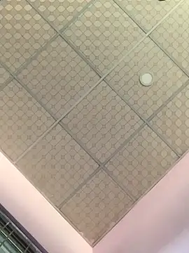 Hullax online show from November 7, 9:31 am