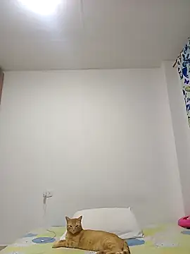 Snapshot of leah_passion chatting on January 31, 11:14 pm leah passion online show from January 31, 11:14 pm