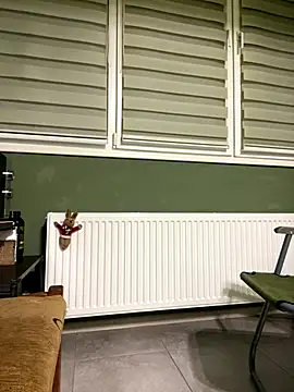 SexSanich online show from October 4, 9:57 pm