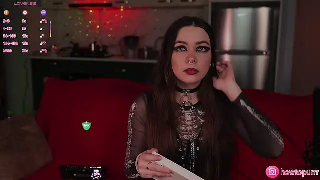 Snapshot of How2Meow chatting on January 7, 5:48 pm How2Meow online show from January 7, 5:48 pm