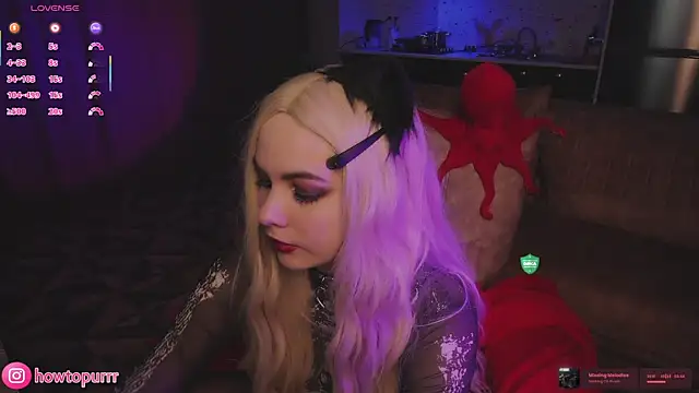 Snapshot of How2Meow chatting on March 31, 5:35 pm How2Meow online show from March 31, 5:35 pm