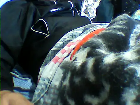 Snapshot of messi_syssy chatting on September 25, 8:34 pm messi syssy online show from September 25, 8:34 pm