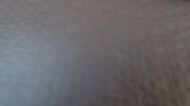 Snapshot of TsSandyx chatting on April 30, 10:21 am TsSandyx online show from April 30, 10:21 am