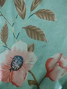 Snapshot of rodhathor chatting on April 3, 7:34 pm rodhathor online show from April 3, 7:34 pm