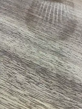 Snapshot of bulpof chatting on April 1, 5:32 pm bulpof online show from April 1, 5:32 pm