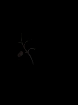 sxxxxxxlll online show from November 15, 2:53 am
