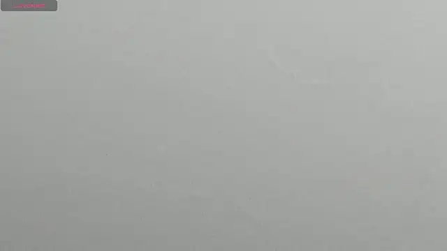 natasha logan  online show from March 11, 3:59 am