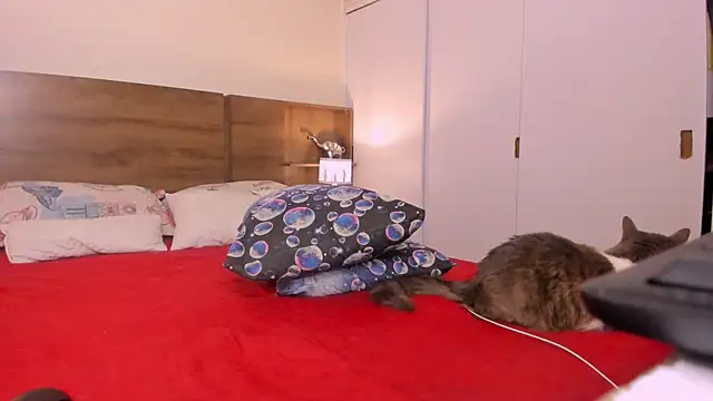 emily adams01 online show from February 27, 12:43 am