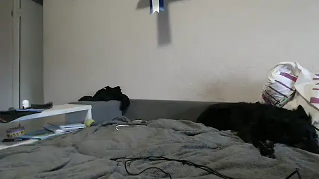 delightful sofi online show from October 9, 2:26 pm