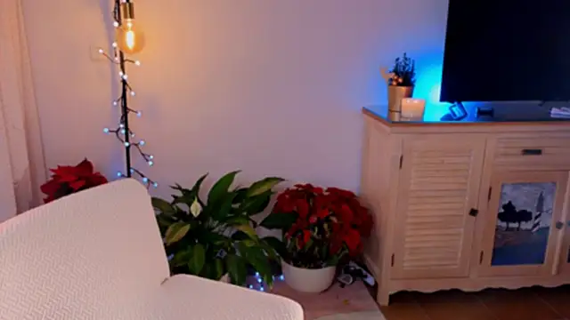 Snapshot of anabelcurvy chatting on December 8, 4:07 pm anabelcurvy online show from December 8, 4:07 pm