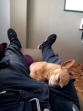 Snapshot of Jeanka18z chatting on October 23, 5:33 pm Jeanka18z online show from October 23, 5:33 pm