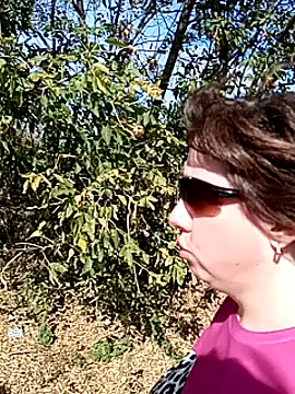 explored romantic online show from September 20, 10:38 am