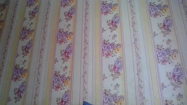 Snapshot of Skills_ chatting on December 5, 5:26 am Skills online show from December 5, 5:26 am