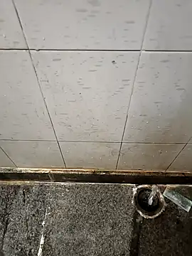 Mallupaiyanaachu online show from January 21, 1:54 pm