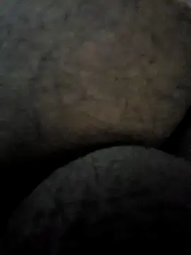 Mallupaiyanaachu online show from February 3, 4:31 pm