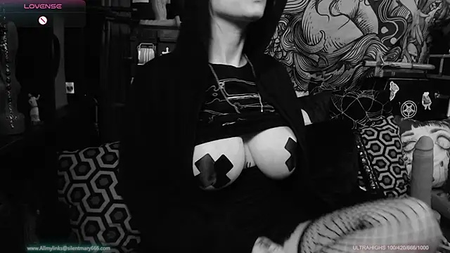 Snapshot of Silentmary chatting on January 22, 1:10 am Silentmary online show from January 22, 1:10 am