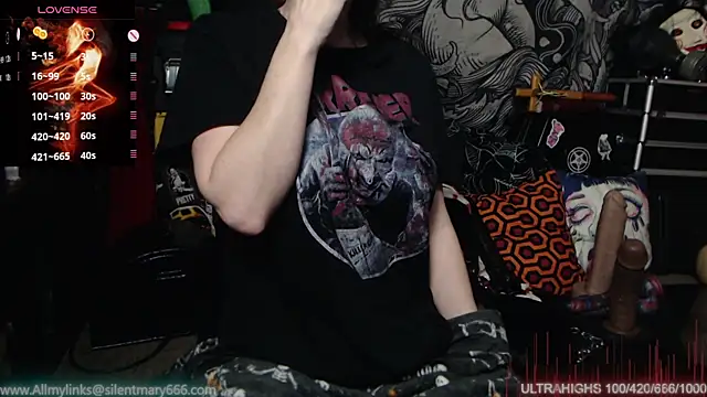 Snapshot of Silentmary chatting on February 8, 10:50 am Silentmary online show from February 8, 10:50 am