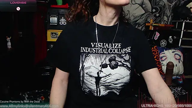 Snapshot of Silentmary chatting on February 12, 2:45 am Silentmary online show from February 12, 2:45 am