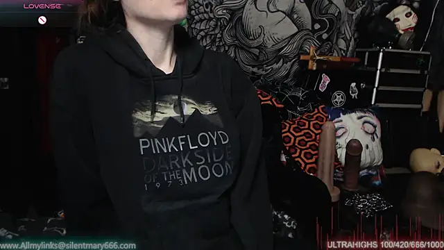 Snapshot of Silentmary chatting on February 12, 11:51 pm Silentmary online show from February 12, 11:51 pm